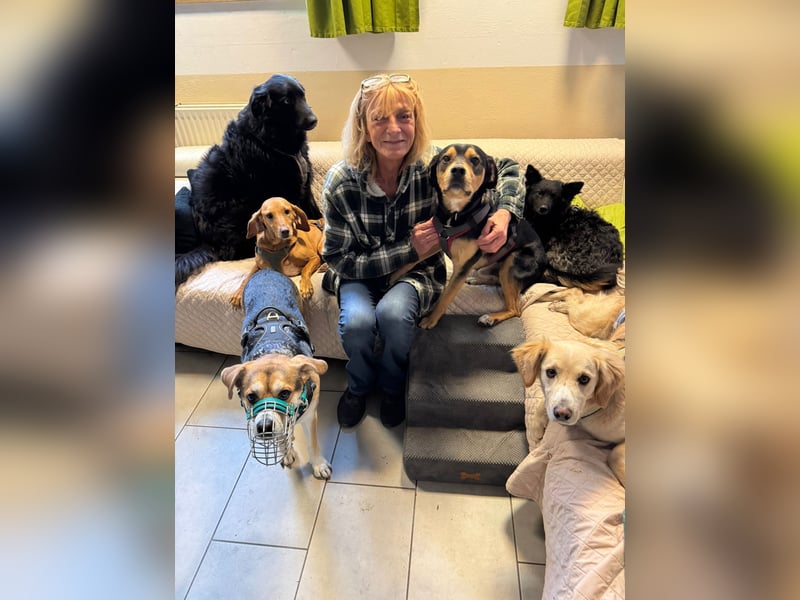 ZAKO sucht sein forever Home ❤️