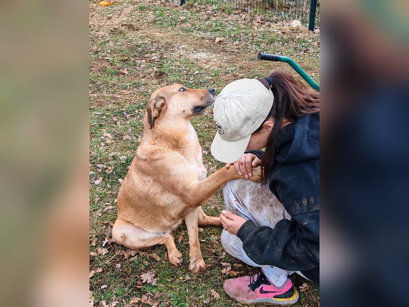 Liebevolle ANGELA sucht Familie ❤️