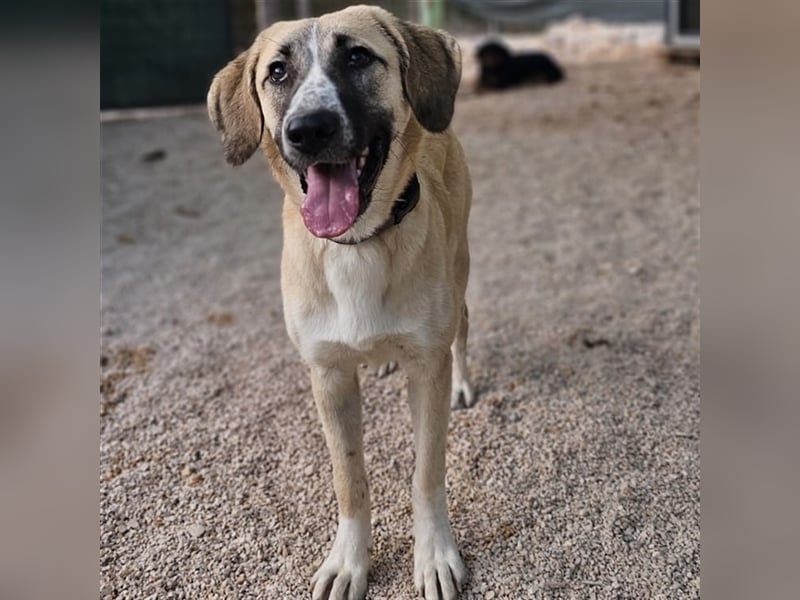 Bounty sucht ihre Familie ❤️