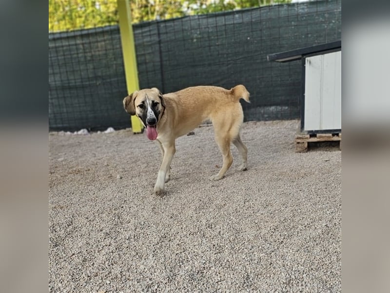 Bounty sucht ihre Familie ❤️