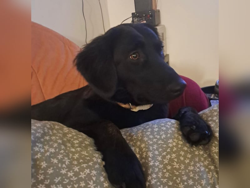 Sportliche Rosie sucht ihr Glück ❤️