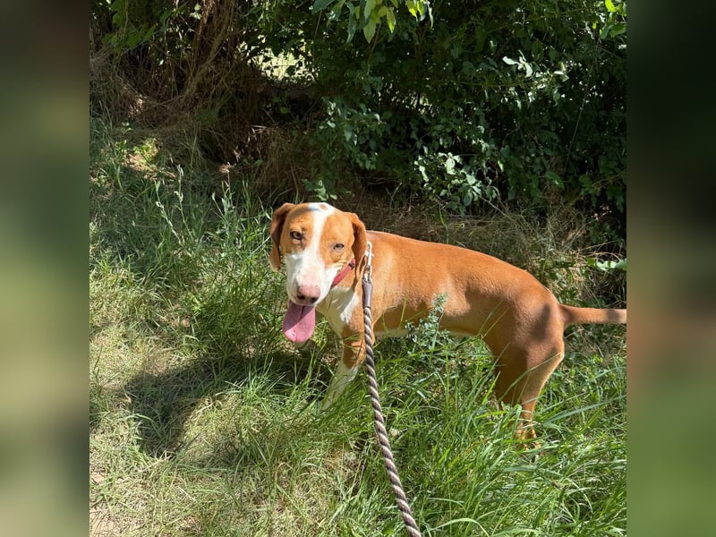 Riva sucht ihre Herzmenschen