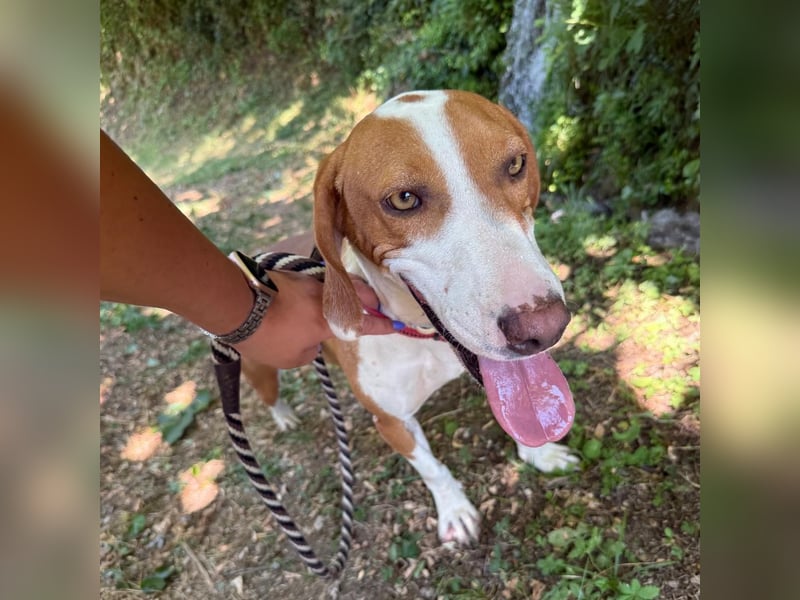 Riva sucht ihre Herzmenschen