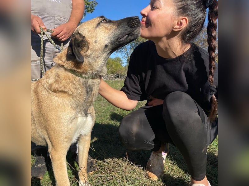 Silvia sucht ihr Für-Immer-Zuhause❤️
