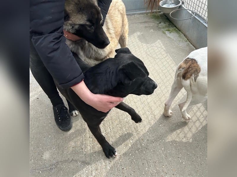 Teenie Sid sucht seine Familie ❤️