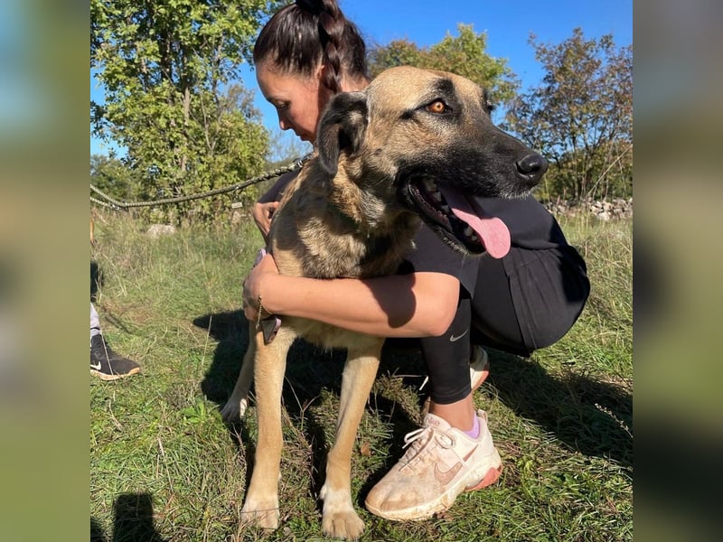 Silvia sucht ihr Für-Immer-Zuhause❤️
