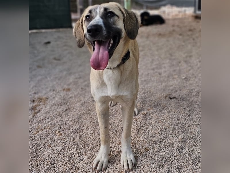 Bounty sucht ihre Familie ❤️