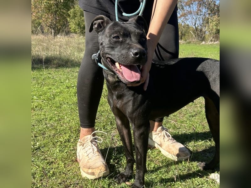 Bist du Dinas Perfect Match? ❤️