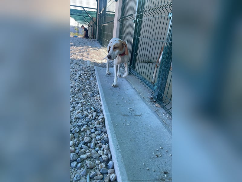 Liebevolle Sunny sucht ihr Glück ❤️