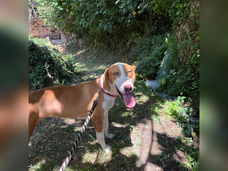 Riva sucht ihre Herzmenschen