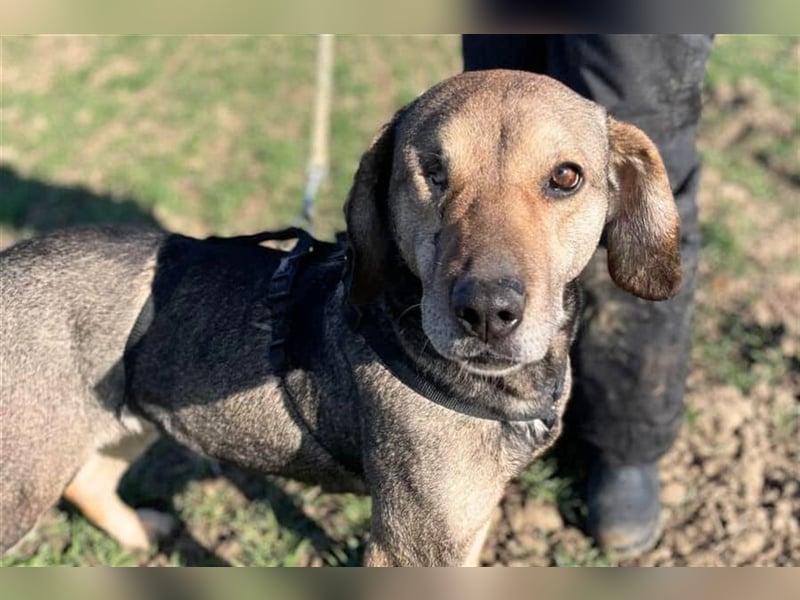 Strahlemaus Niabi sucht ihr perfect match ❤️