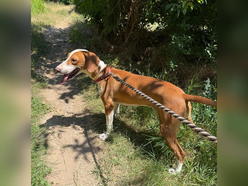 Riva sucht ihre Herzmenschen