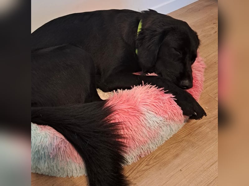 Sportliche Rosie sucht ihr Glück ❤️