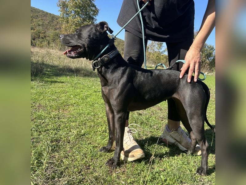 Bist du Dinas Perfect Match? ❤️