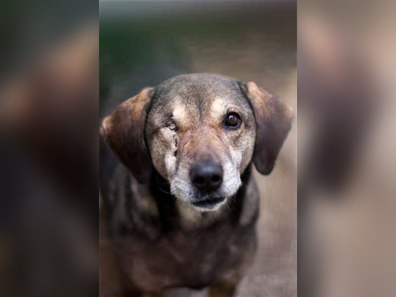 Strahlemaus Niabi sucht ihr perfect match ❤️