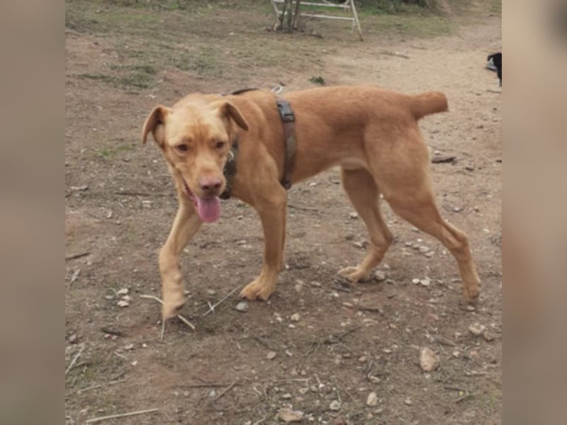 EDDY will endlich sein Fürimmerzuhause