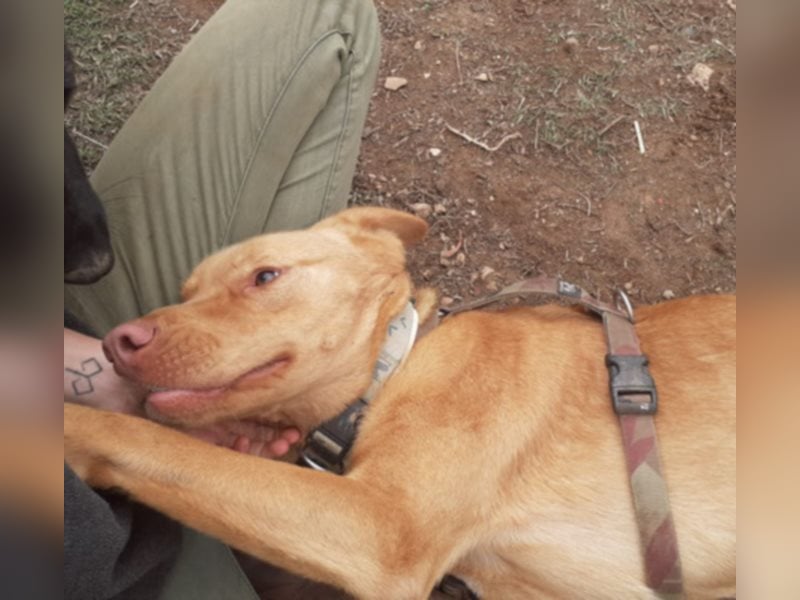 EDDY will endlich sein Fürimmerzuhause