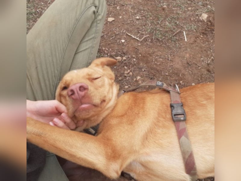 EDDY will endlich sein Fürimmerzuhause