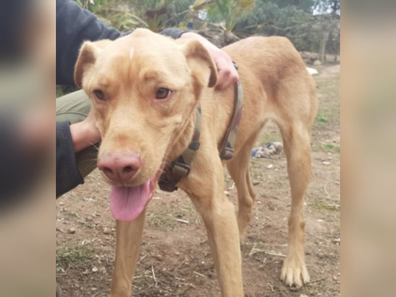 EDDY will endlich sein Fürimmerzuhause