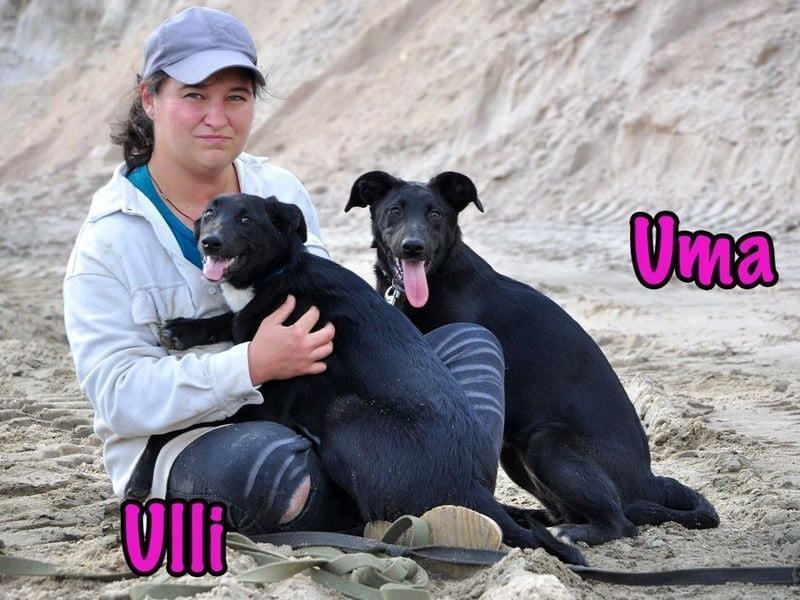 Uma geb. 03/2025 - freundliche und liebevolle Junghündin!