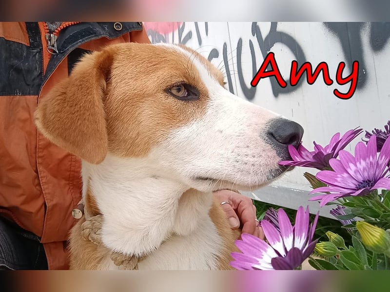 Amy geb. 11/2025 (GRC) - soziale + glückliche Maus sucht ihre eigene Familie!