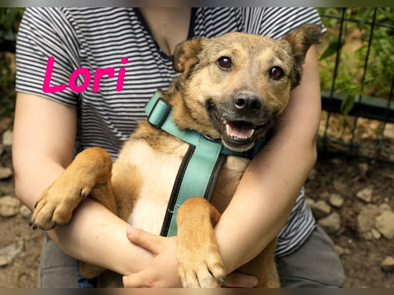 Lori geb. 01/2022 - treue, ruhige und unglaublich liebe Hündin!