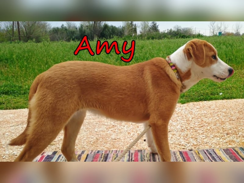 Amy geb. 11/2025 (GRC) - soziale + glückliche Maus sucht ihre eigene Familie!