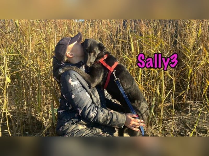 Sally3 geb. 04/2021 - sooo sanfte und verschmuste Hündin sucht liebevolle Menschen!