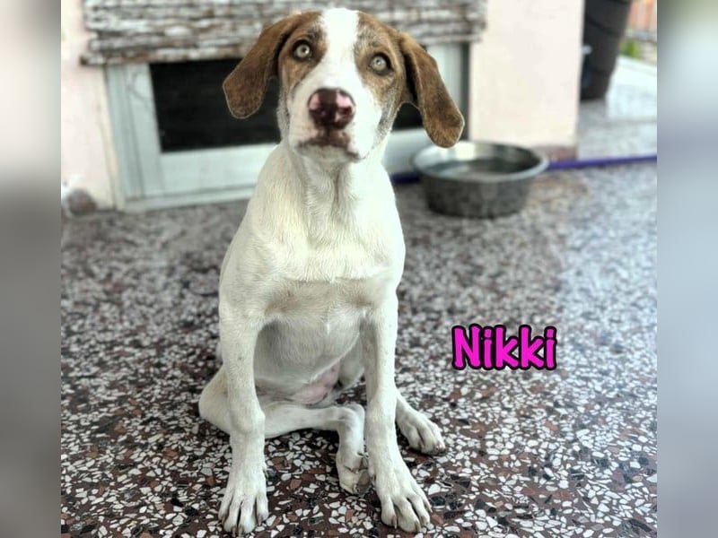 Nikki geb. 03/2025 (GRC) - verträgliche, süße und lernwillige Maus sucht ein Zuhause!