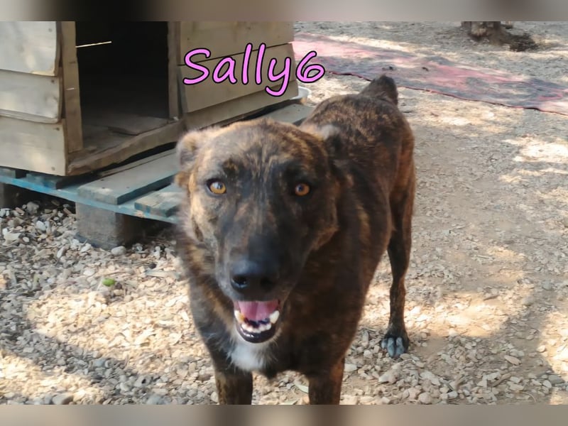 Sally6 geb. 12/2020 (GRC) - schüchterne Schönheit hat so viel mehr verdient!
