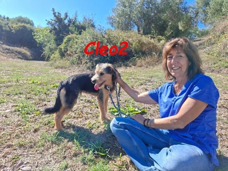 Cleo2 geb. 01/2025 (GRC) - freundliche Junghündin sucht ihr Körbchen!