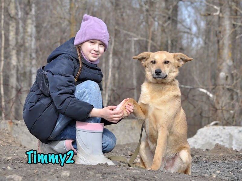 Timmy2 geb. 03/2023 - verspielter, aktiver und fröhlicher junger Rüde!