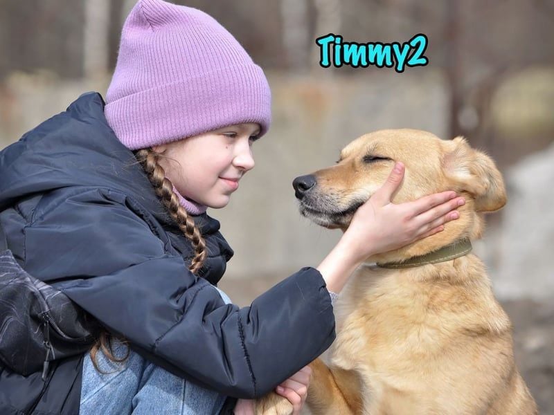 Timmy2 geb. 03/2023 - verspielter, aktiver und fröhlicher junger Rüde!