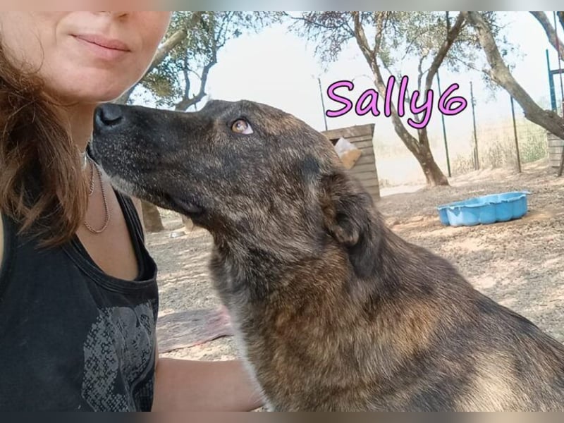 Sally6 geb. 12/2020 (GRC) - schüchterne Schönheit hat so viel mehr verdient!