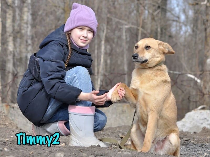 Timmy2 geb. 03/2023 - verspielter, aktiver und fröhlicher junger Rüde!