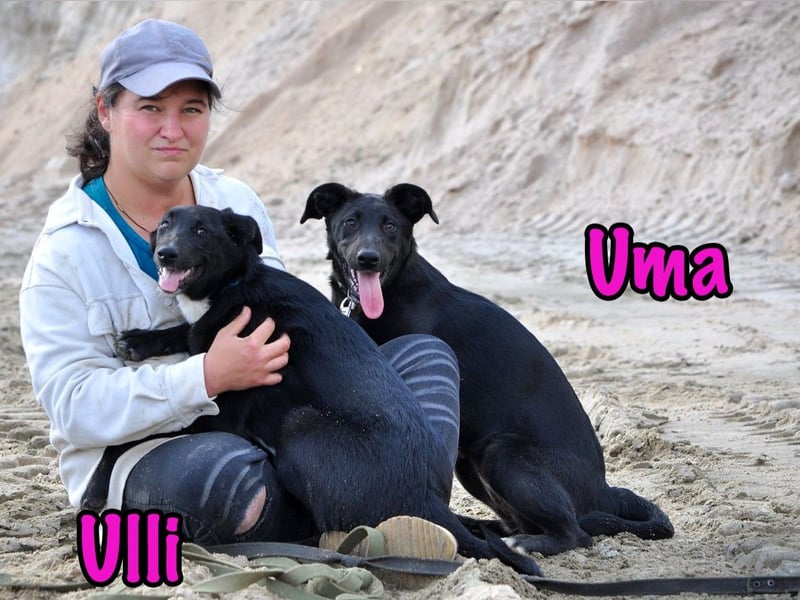 Ulli geb. 03/2025 - fröhliches und neugieriges Mädchen!