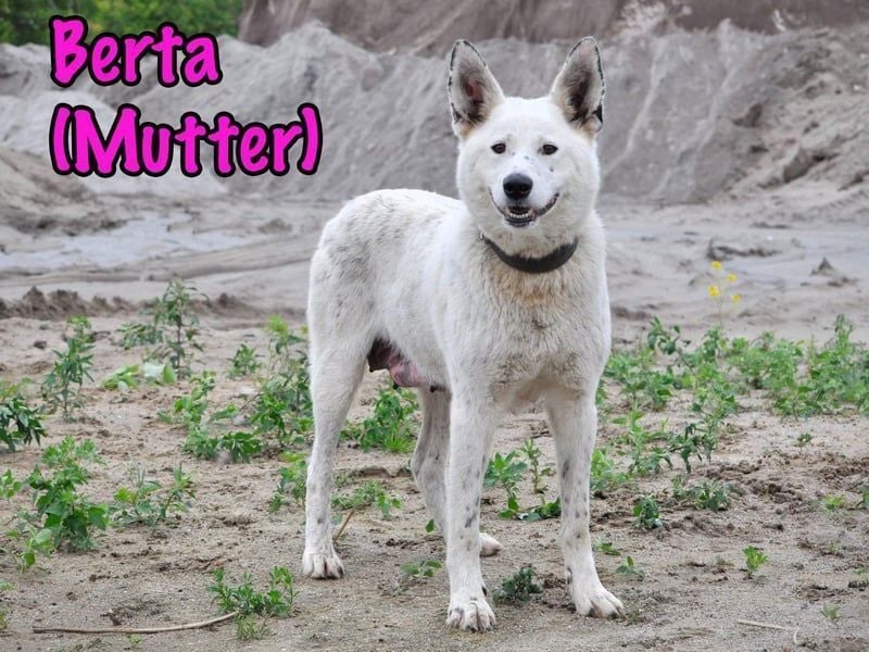 Ulli geb. 03/2025 - fröhliches und neugieriges Mädchen!