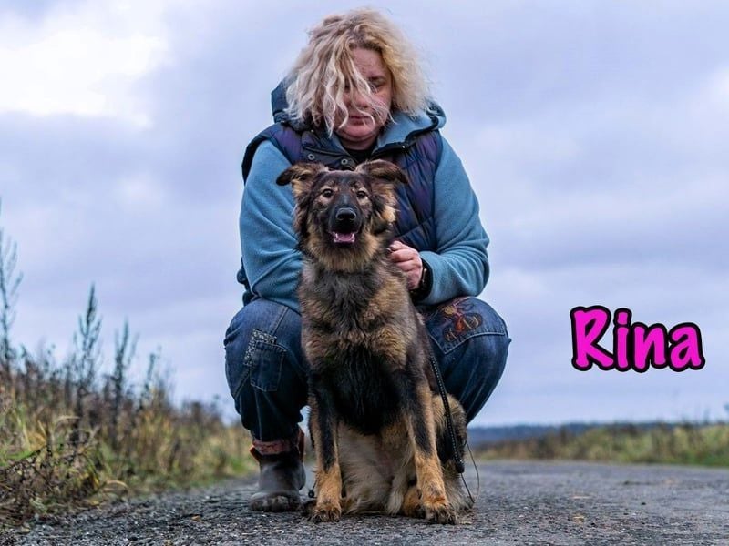 Rina geb. 01/2025 - charmante und verspielte, hübsche Junghündin!