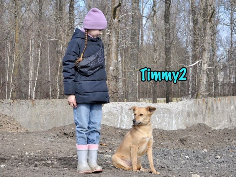 Timmy2 geb. 03/2023 - verspielter, aktiver und fröhlicher junger Rüde!