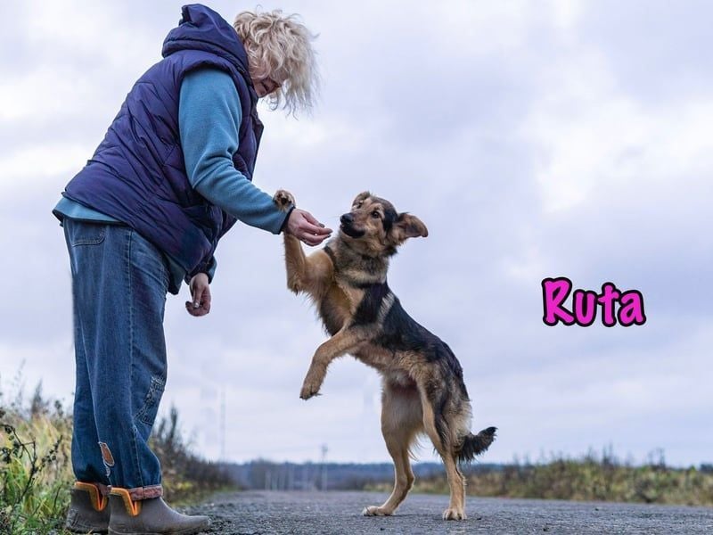 Ruta geb. 01/2025 - gehorsame und fröhliche, wunderschöne Junghündin!