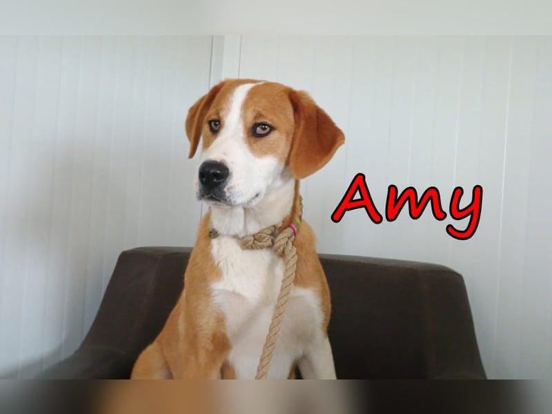 Amy geb. 11/2025 (GRC) - soziale + glückliche Maus sucht ihre eigene Familie!