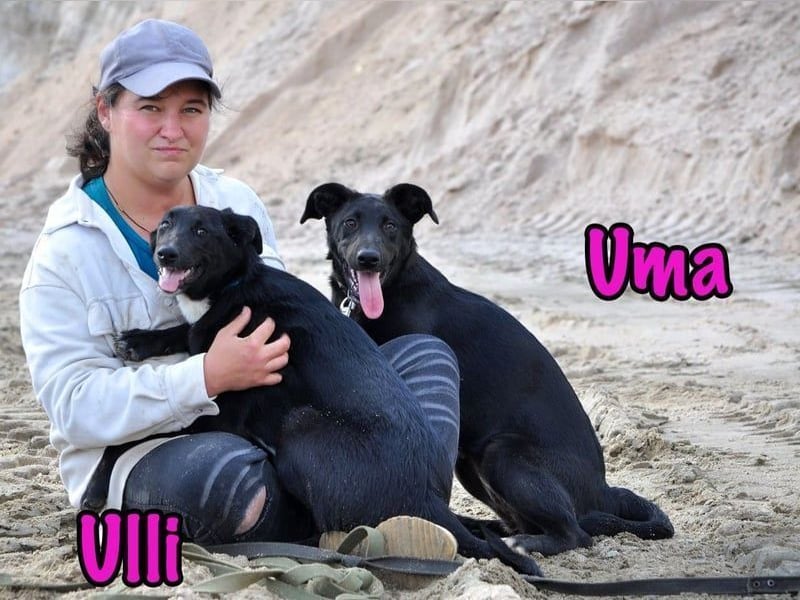 Ulli geb. 03/2025 - fröhliches und neugieriges Mädchen!