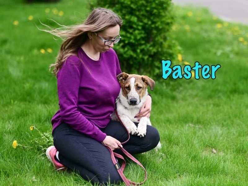Baster geb. 10/2021 (in Deutschland) - sportlicher, verschmuster und aufmerksamer Rüde!