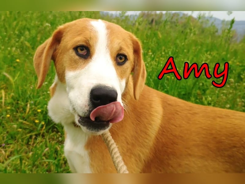 Amy geb. 11/2025 (GRC) - soziale + glückliche Maus sucht ihre eigene Familie!