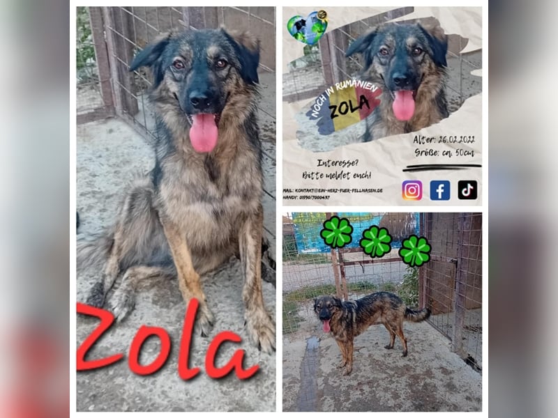 Unsere wunderschöne Zola