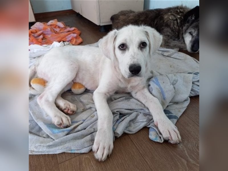 Unser schöner Snooze