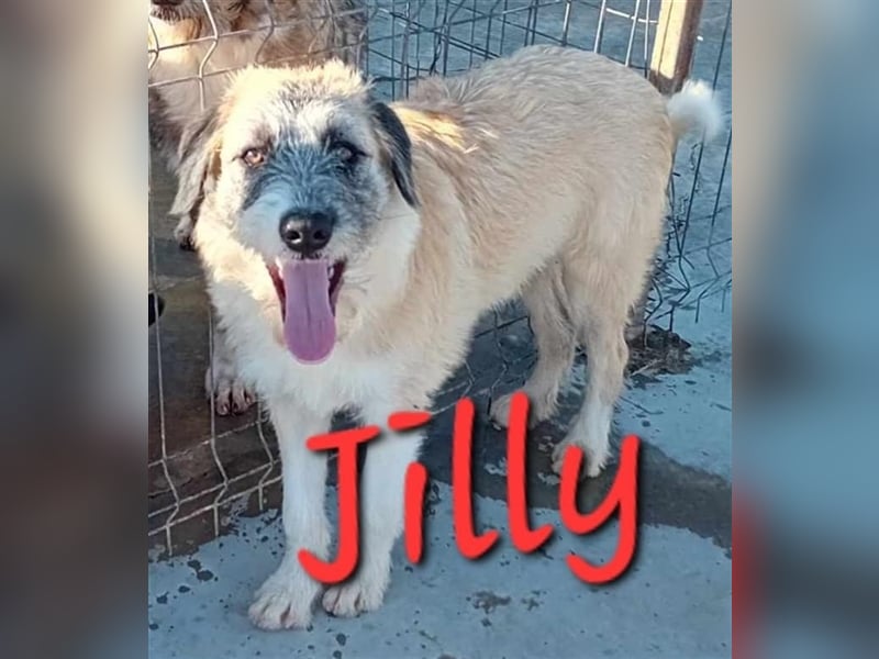 Unsere süße Jilly