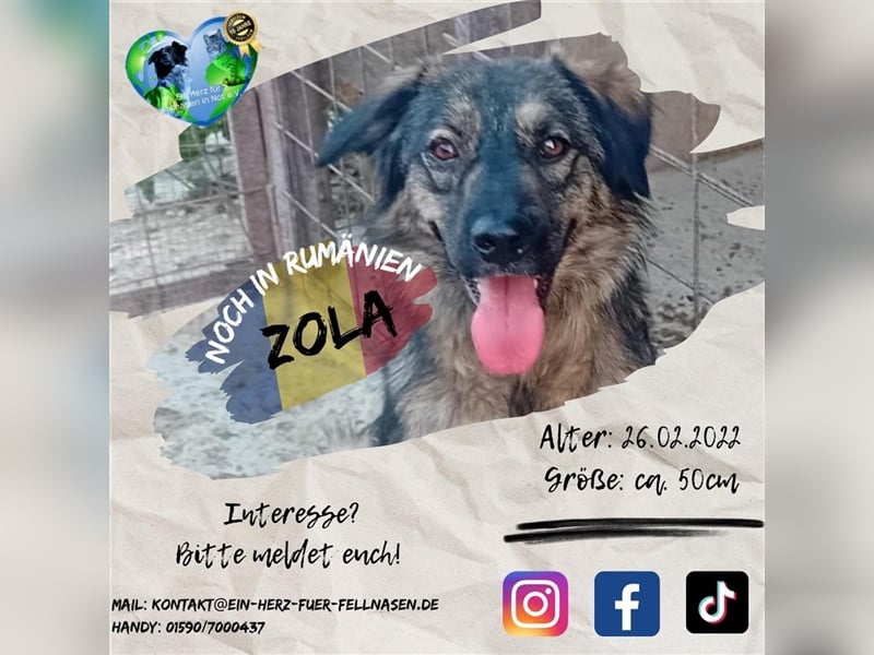 Unsere wunderschöne Zola