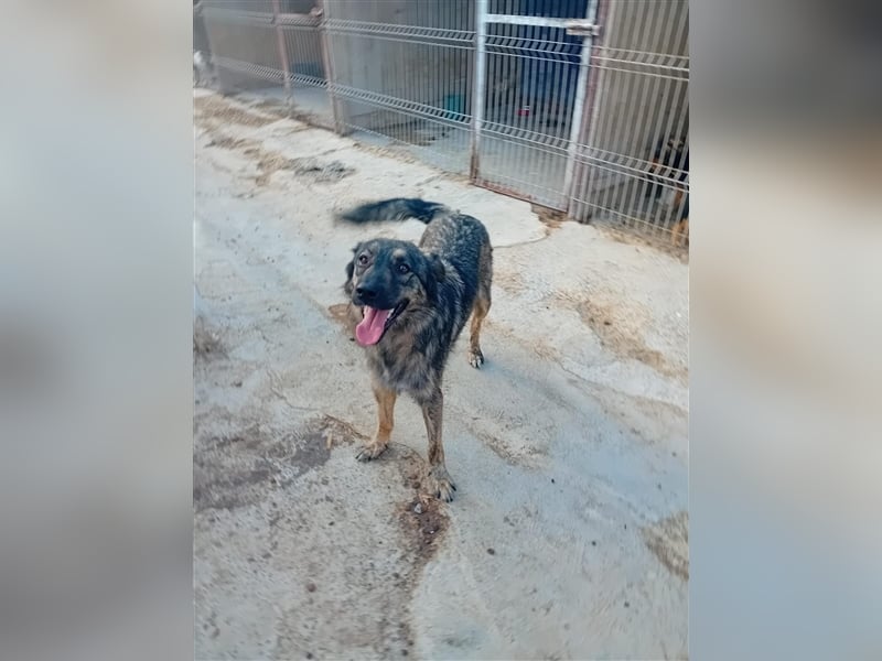 Unsere wunderschöne Zola