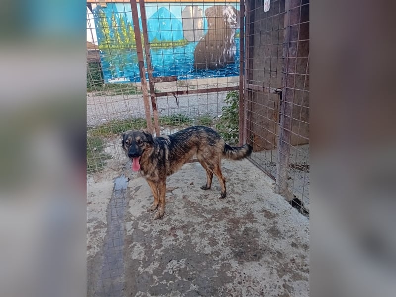 Unsere wunderschöne Zola